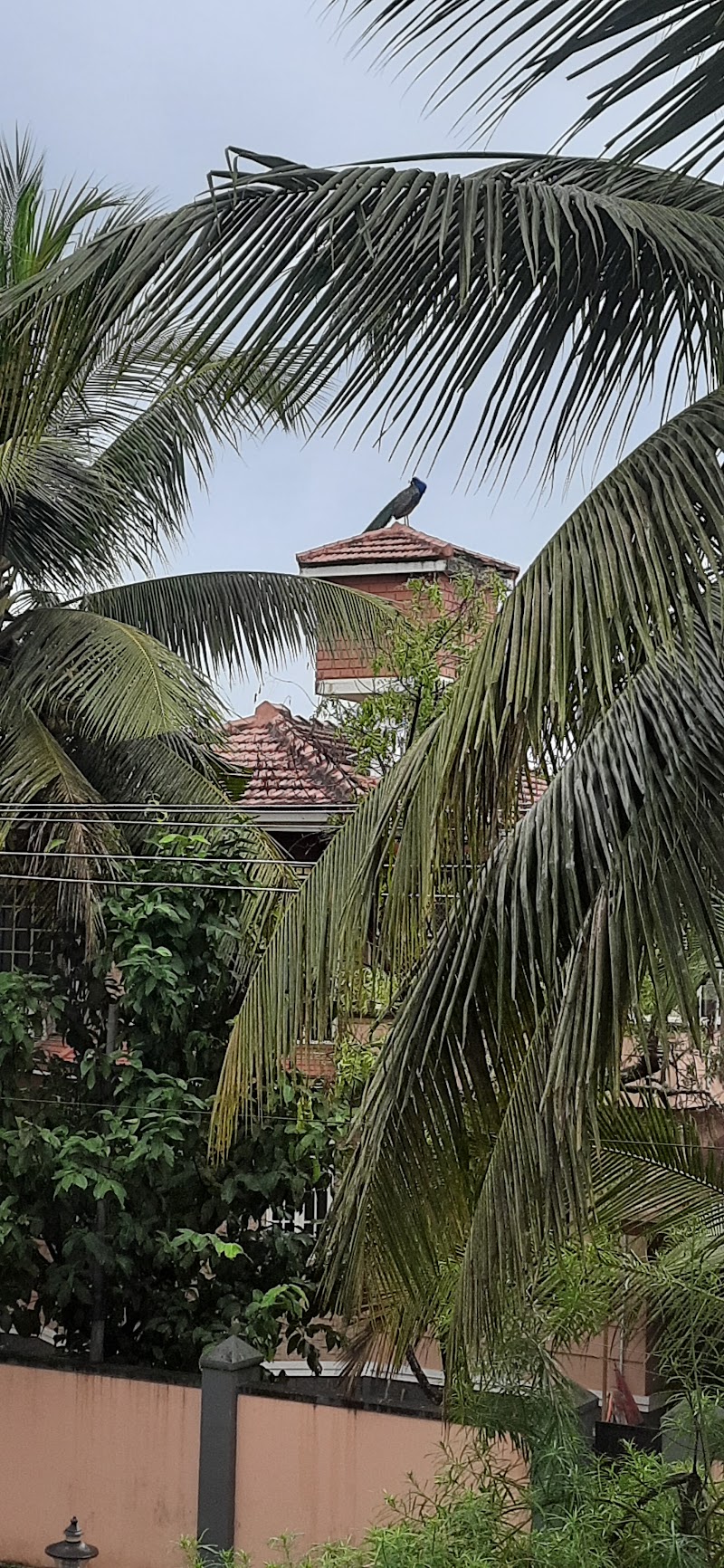 Malpe Guest House - Malpe Guest House, 9P64+M6V, Kalkura Rd, Malpe, Udupi, Karnataka 576108, India