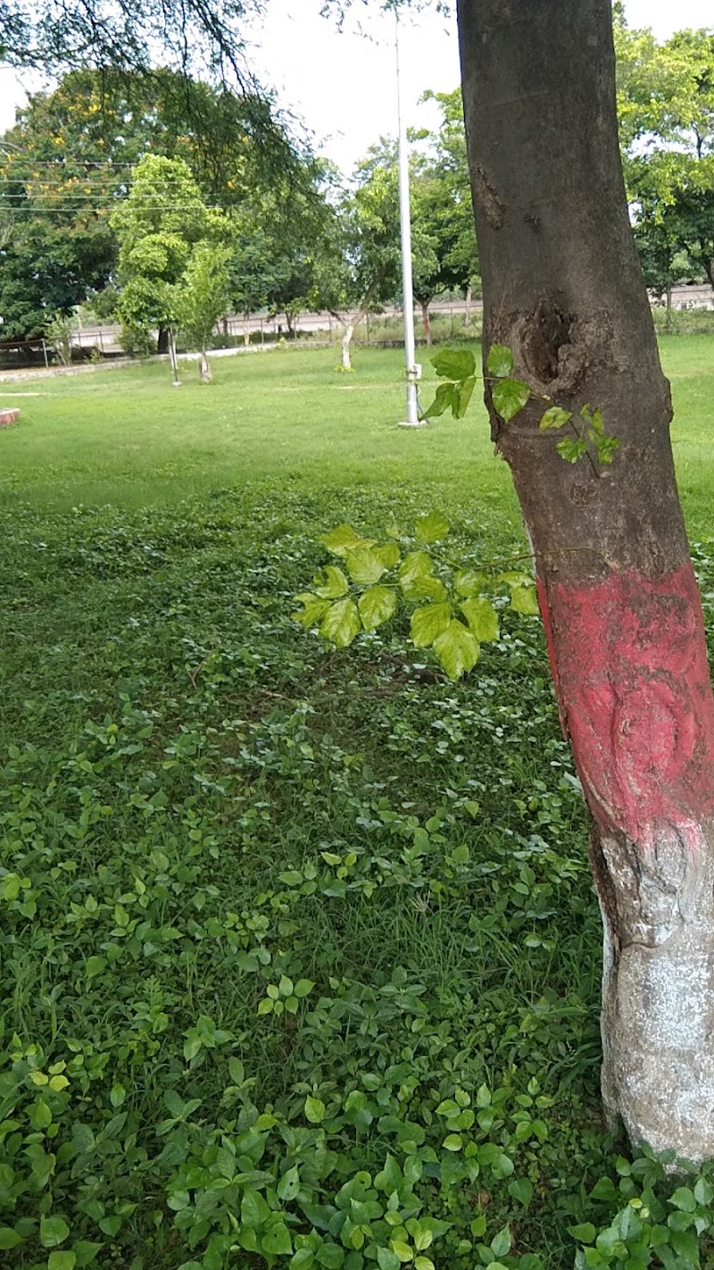 Bal Udyan Garden - Bal Udyan Garden, 683J+94F, Nehru Nagar, Bhilai, Chhattisgarh 490020, India
