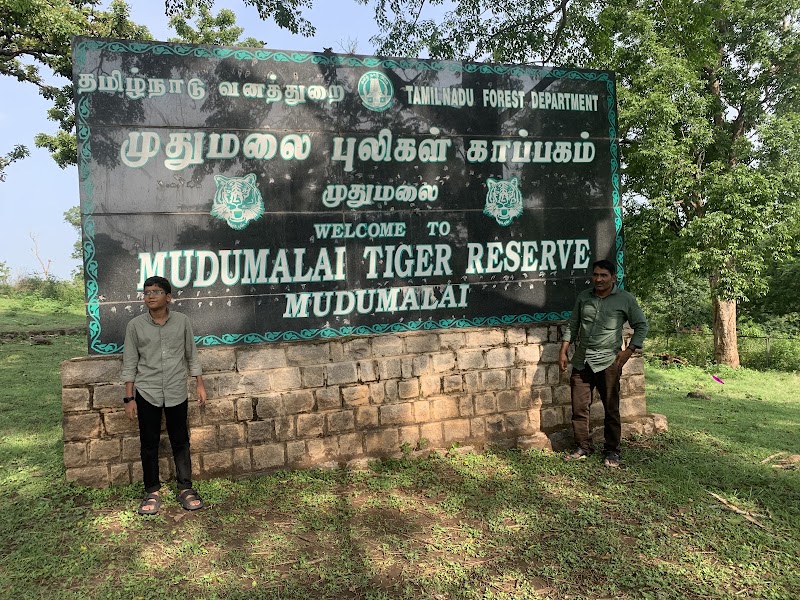 Theppakadu Elephant Camp - Theppakadu Elephant Camp HHHM+HJV, Theppakadu, Masinagudi, Tamil Nadu 643211, India