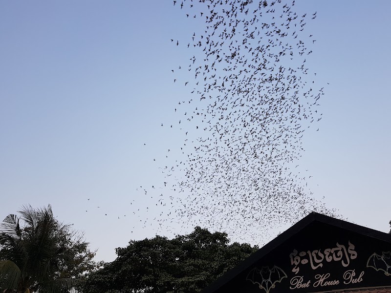 Bat Cave Phnom Sampov - Bat Cave Phnom Sampov, បាណន់, Cambodia