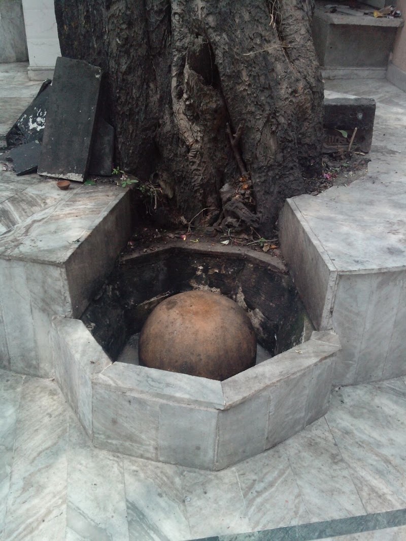 Saini - Saini, Uttar Pradesh 250001, India