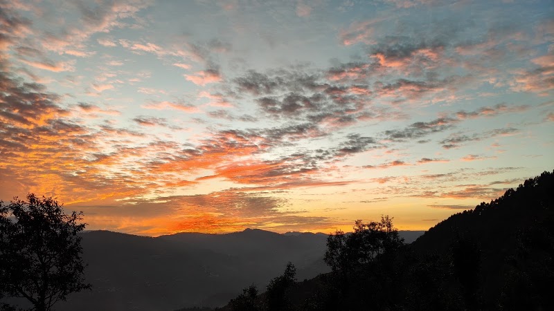 The Village - Homestay - The Village - Homestay, JF28+H9G, Garhi, Uttarakhand 263651, India