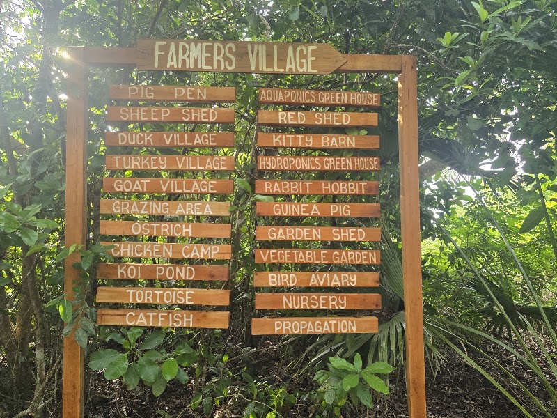 South Farm Panglao Bohol - South Farm Panglao Bohol, Panglao, Bohol, Philippines