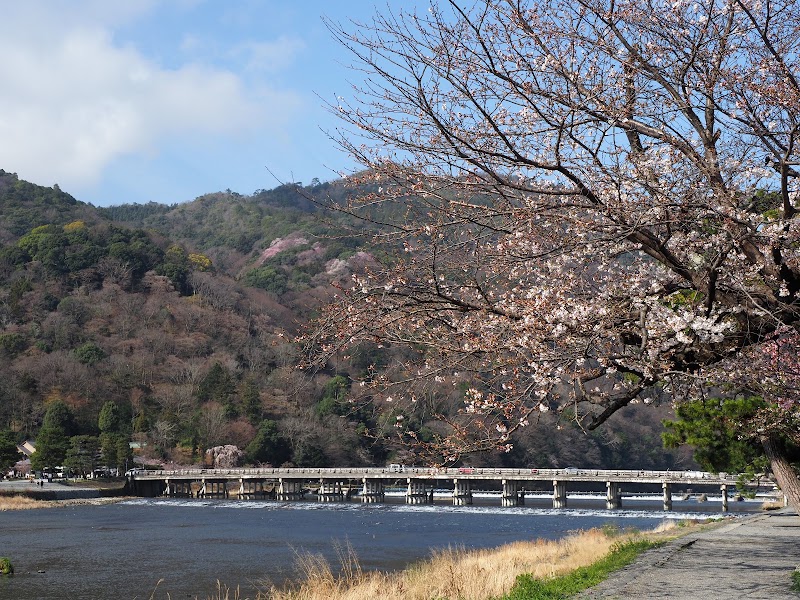 Togetsukyō Bridge - Togetsukyō Bridge, 1-5 Sagatenryūji Susukinobabachō, Ukyo Ward, Kyoto, 616-8384, Japan