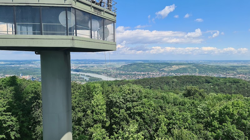 Waldseilpark Kahlenberg - Waldseilpark Kahlenberg, Josefsdorf 47, 1190 Wien, Austria