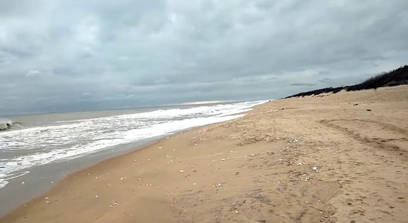 Chandrabhaga Beach, Puri