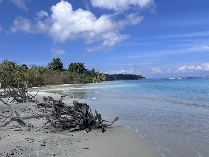 Walking Path To Elephant Beach - Walking Path To Elephant Beach 2X57+FCJ, SH4, Andaman and Nicobar Islands 744211, India