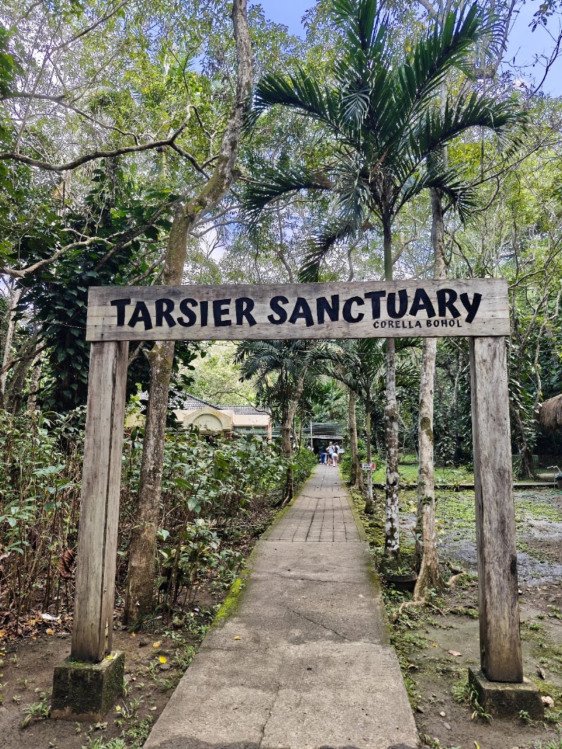 Philippine Tarsier Sanctuary - Philippine Tarsier Sanctuary, Tarsier Sunctuary Rd, Corella, Bohol, Philippines