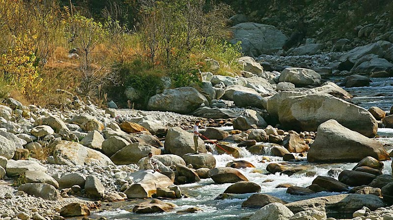 Tirthan Trails - Tirthan Trails 1km milestone, across Goshaini, Gushaini, Pekhri, Himachal Pradesh 175123, India