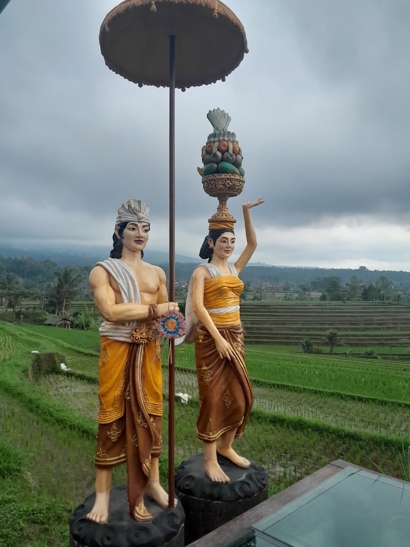 DEWA BALI TOURS - DEWA BALI TOURS Jl. Cokroaminoto, Gianyar, Kec. Gianyar, Kabupaten Gianyar, Bali 80511, Indonesia
