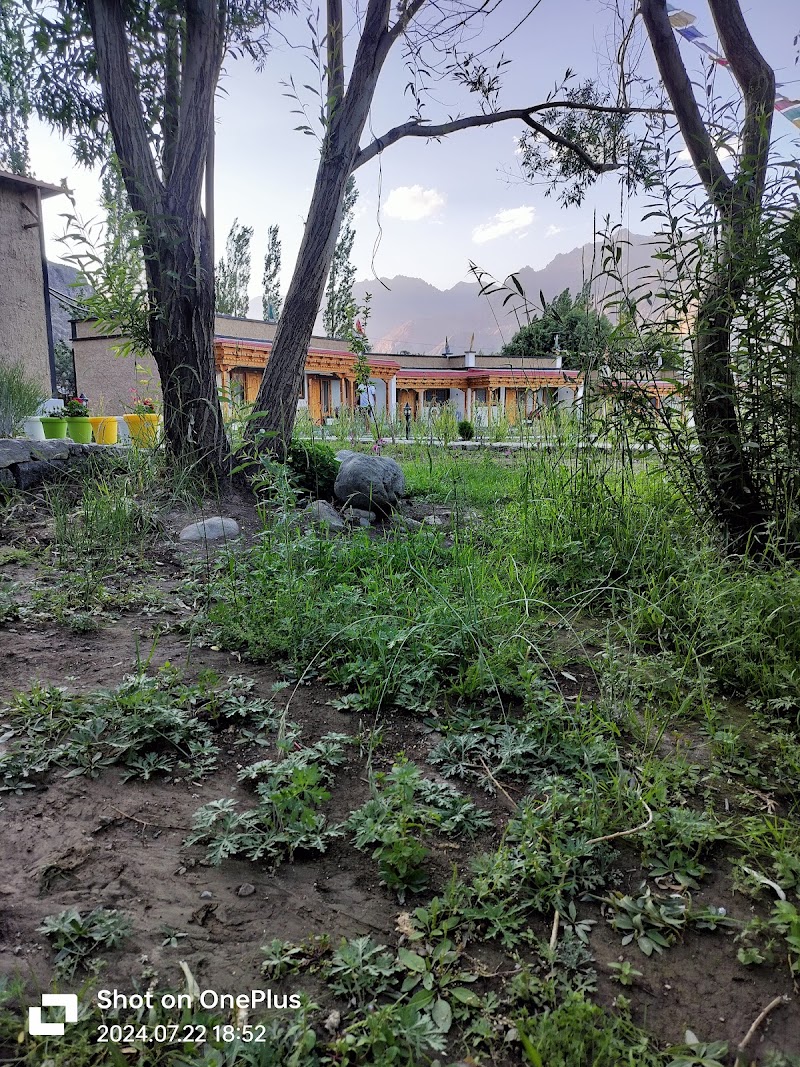 The walnut inn resort - The walnut inn resort Nubra, Ombay hundar, Hunder, Partapur, 194401
