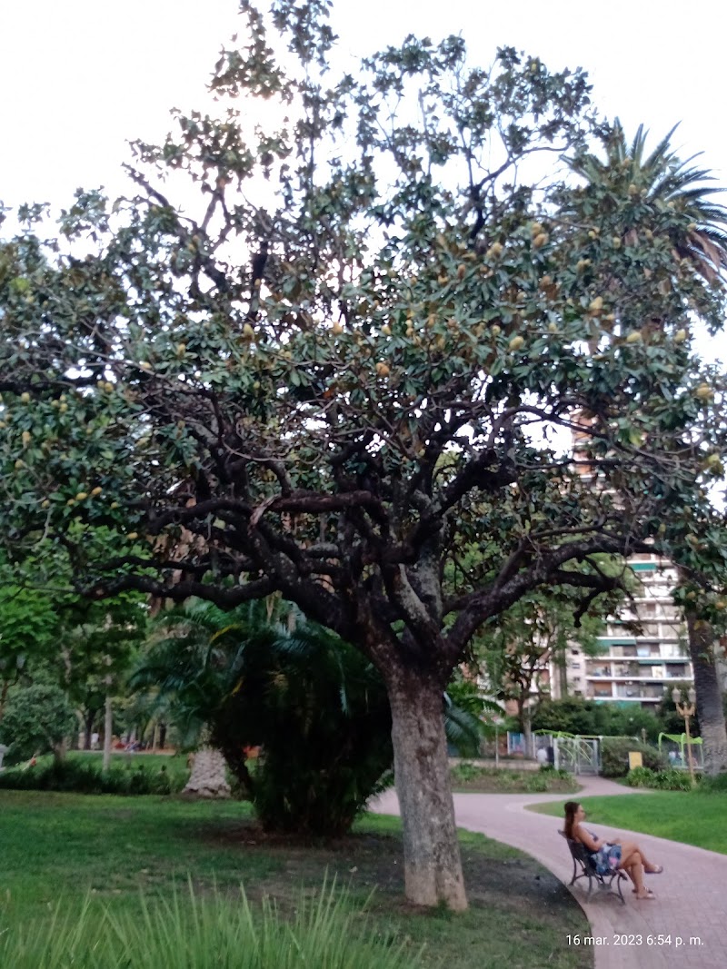 Plaza Barrancas de Belgrano - Plaza Barrancas de Belgrano, C. La Pampa 1629, C1428EAA Cdad. Autónoma de Buenos Aires, Argentina