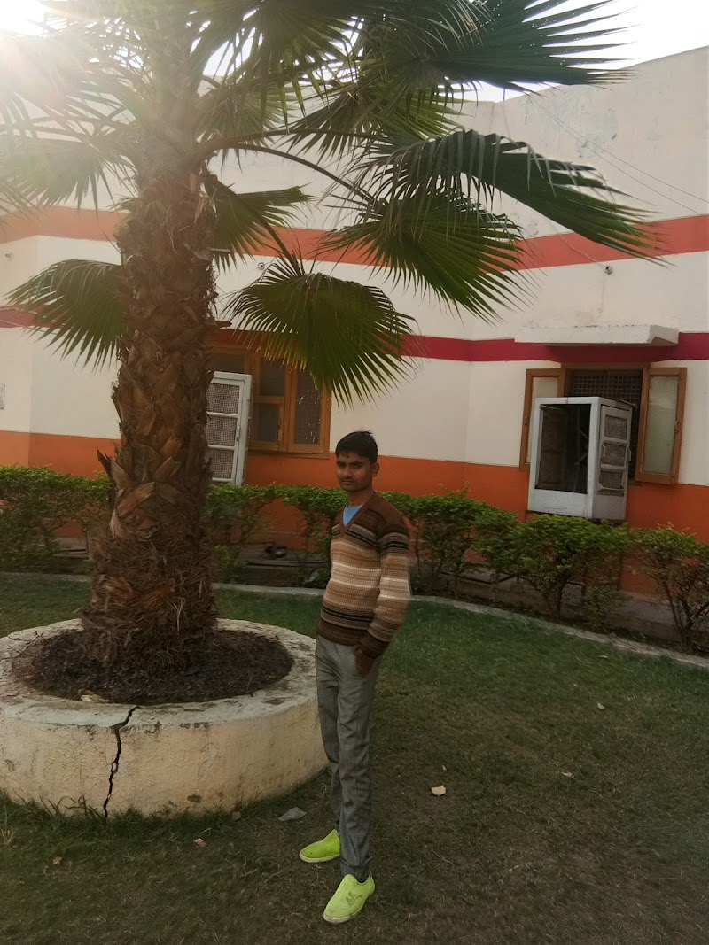 Ladar - Ladar, Uttar Pradesh, India