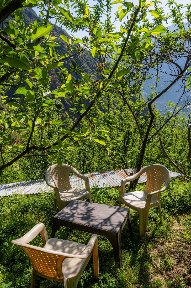 Apple Blush Retreat - Apple Blush Retreat, Village Pekhri, Goshaini, Banjar, Tindar, Himachal Pradesh 175123, India