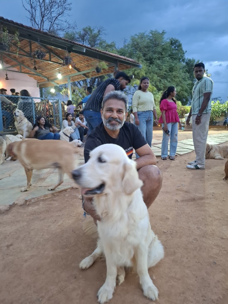 Wille's Pet Paradise - Wille's Pet Paradise 55, Sarjapur - Marathahalli Rd, Petrapebbles layout, Mullur, Bengaluru, Karnataka 560035, India
