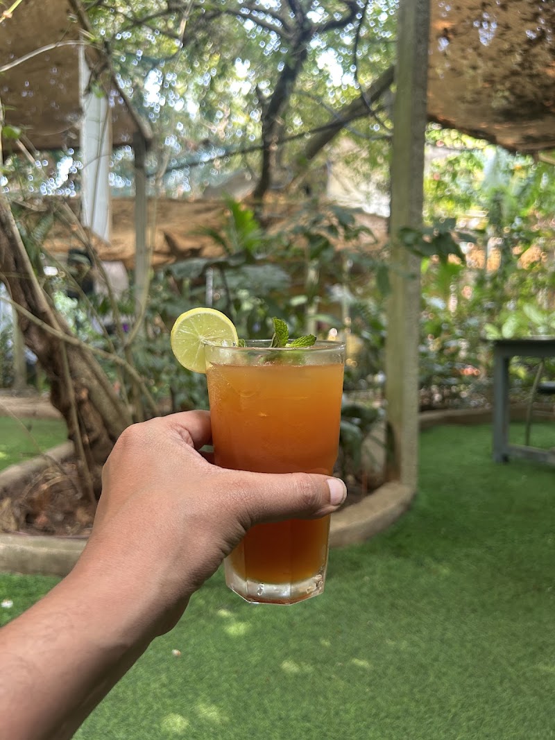 Cafe Tathastu Goa - Cafe Tathastu Goa house number 128, palaza hotel, behind krishna lama bakery, Khalchawada, Arambol, Goa 403524, India