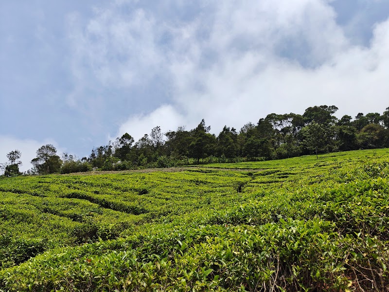 Ooty Tourism - Ooty Tourism Ooty Tourism, CM7R+822, Kandal Main Bazaar St, Kandal, Ooty, Tamil Nadu 643001, India