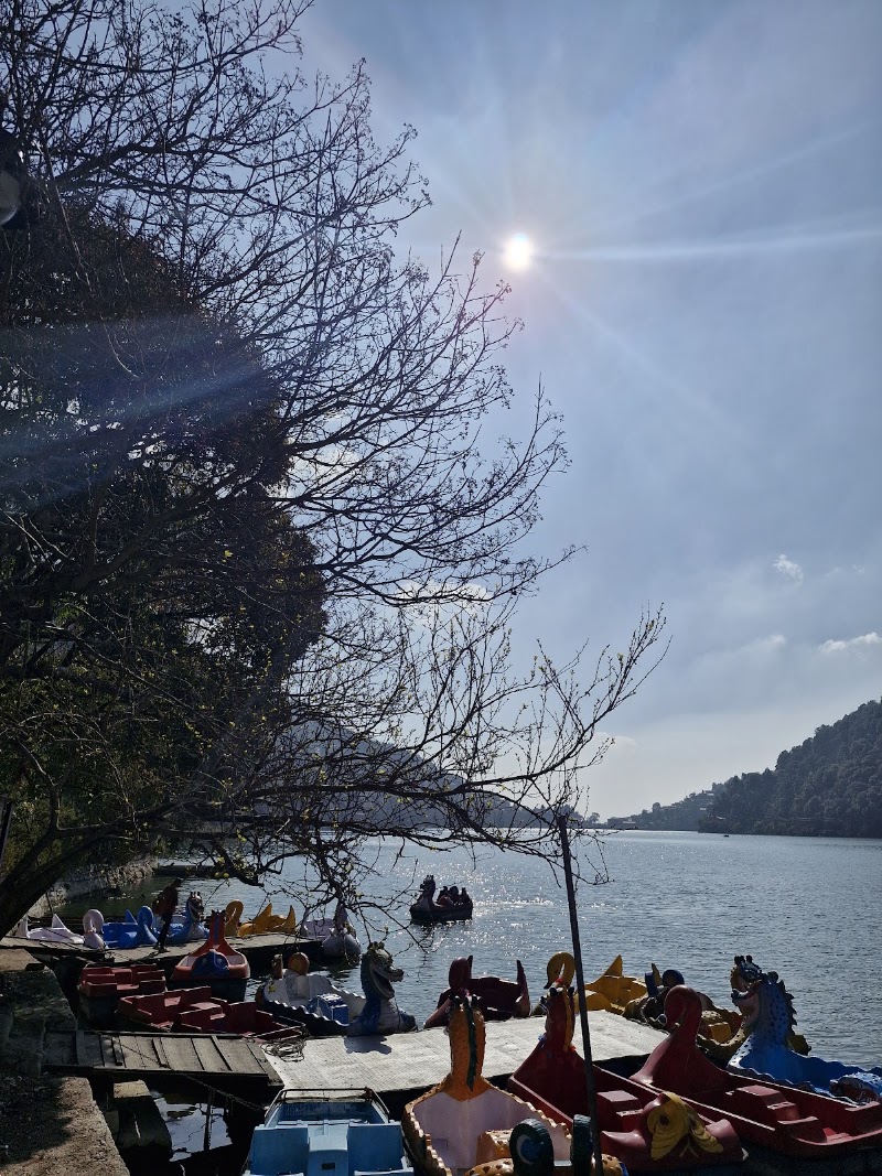 Naini Lake - Naini Lake, Block A 2, Model Town Phase I, Model Town, New Delhi, Delhi, 110033, India