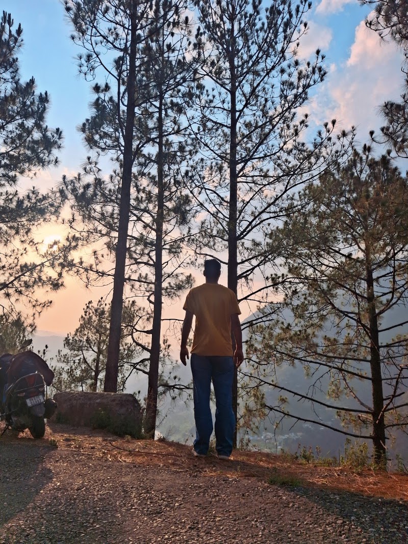 Tharali - Tharali Dewal Rd, Tharali, Ashothi, Uttarakhand 246481, India