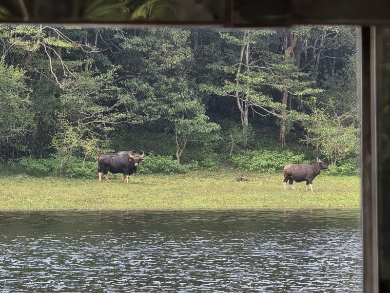 Munnar Routes Holidays - Munnar Routes Holidays near Hatc Stadium, Old, Moolakadai, Munnar, Kerala 685612, India