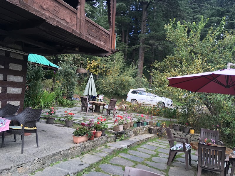 IL Forno - IL Forno 65WM+84V, Hadimba Temple Rd, Siyal, Manali, Himachal Pradesh 175131, India