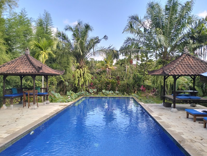 Nara Guest House - Nara Guest House, Jl. Nyuh Bojog No.14, Mas, Kecamatan Ubud, Kabupaten Gianyar, Bali 80571, Indonesia