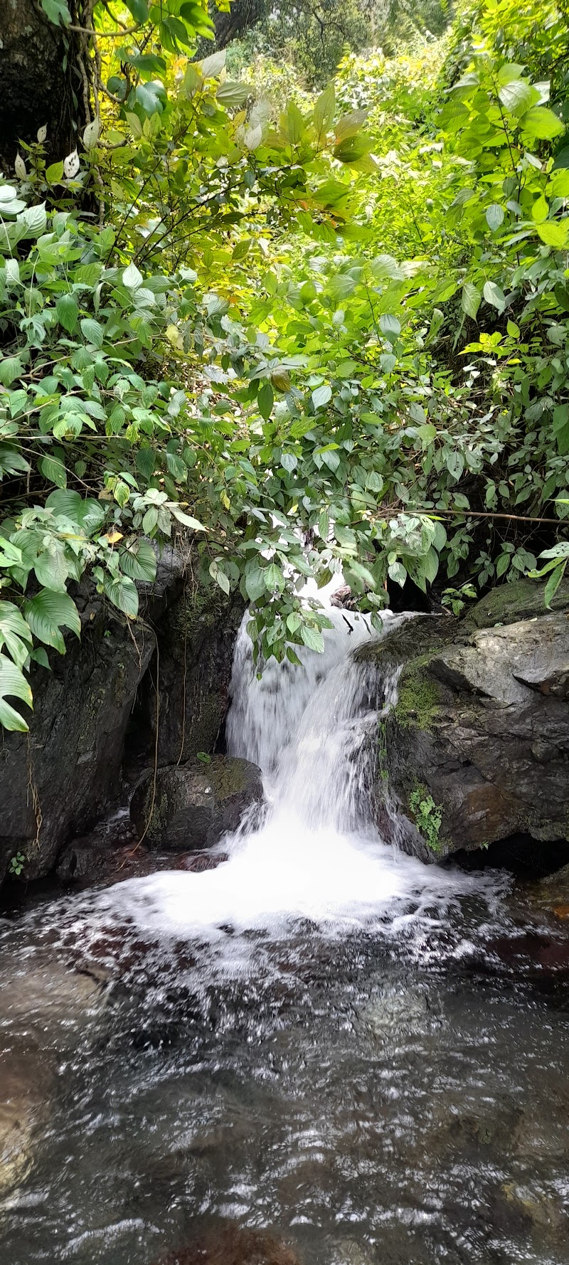 Sattal Water Fall - Sattal Water Fall 8GX9+PJ3, Sukha, Uttarakhand 263127, India