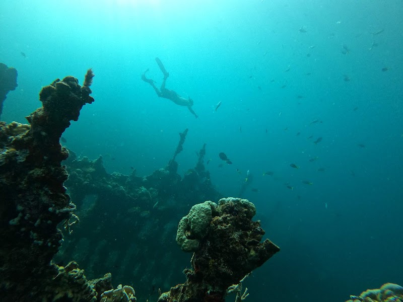 Irako Shipwreck