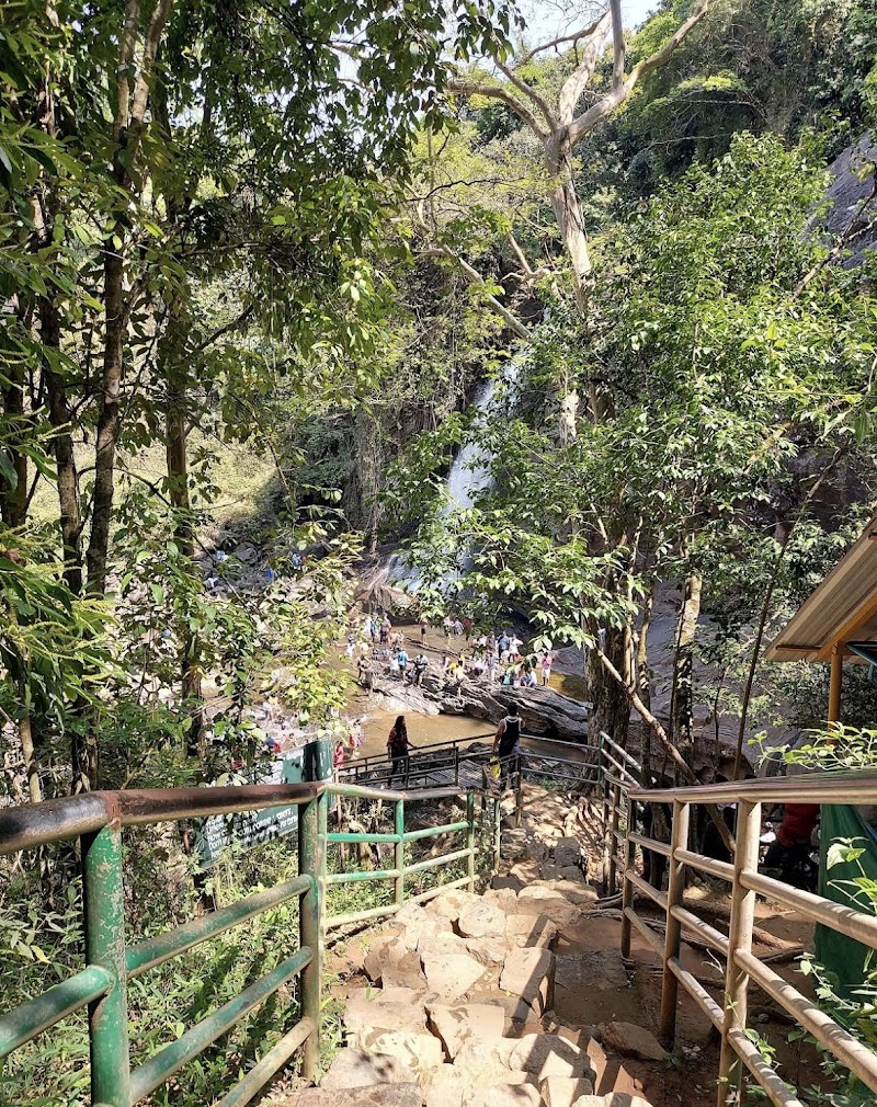 Soochipara Waterfalls - Soochipara Waterfalls Elavayal, Vellarimala, Kerala 673577, India