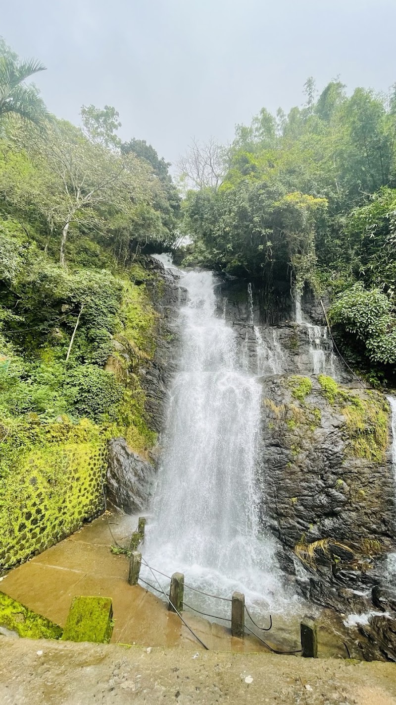 Kerala trip planner - Kerala trip planner, Gumathore Odatha Rd, Gumathore Odatha, Anavathil, Jubilee Nagar, Veli, Kochi, Kerala 682001, India