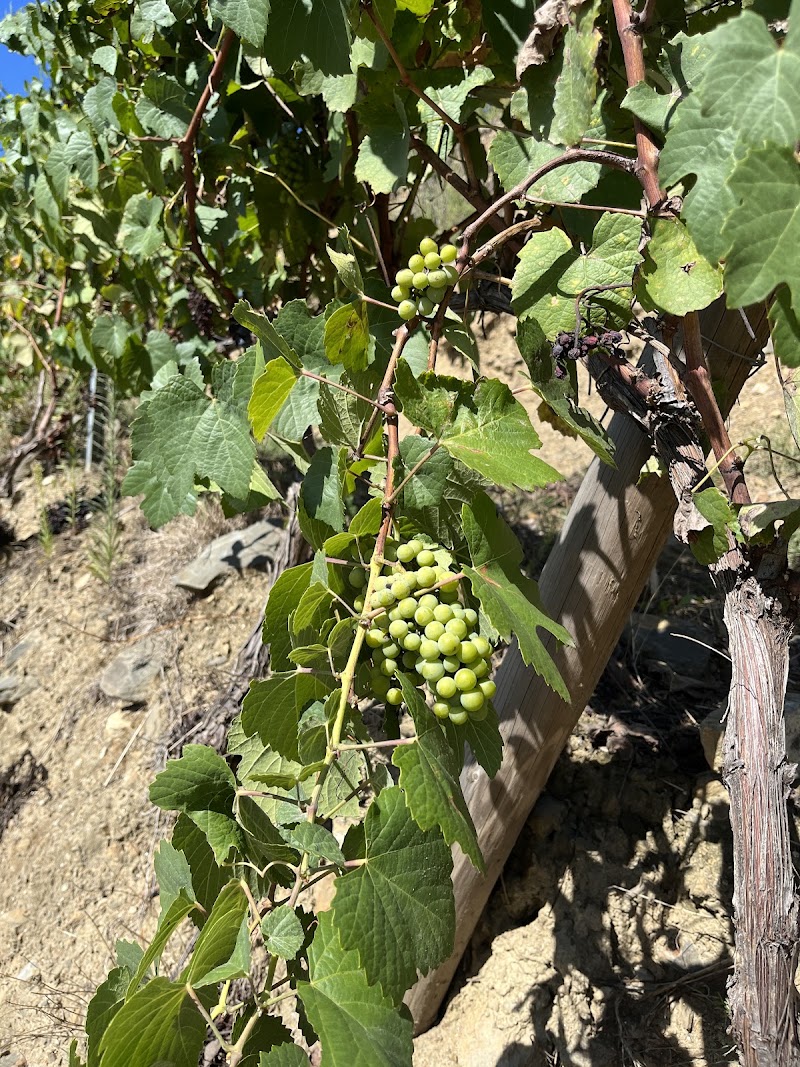 Douro Valley Wine Tours | Transfers - Douro Valley Wine Tours | Transfers, Rua de Vilar, 4050-626 Porto, Portugal