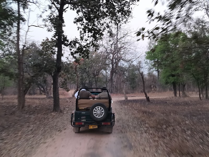 Panna Tiger Reserve - Panna Tiger Reserve, Mohan Niwas Palace, Gahra - Kunjvan Rd, Rani Baag, Panna, Madhya Pradesh 488001, India
