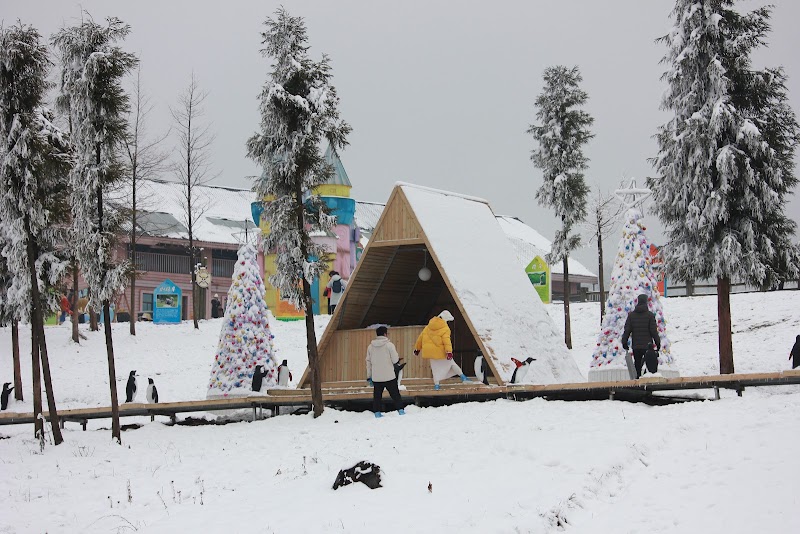 Xiling Xueshan Ski Resort - Xiling Xueshan Ski Resort, P62M+W97, Dayi County, Chengdu, Sichuan, China, 611346