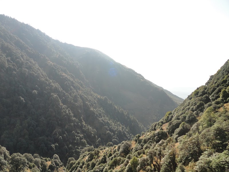 Best View Cafe - Best View Cafe, 784V+87G, Trail to Triund Hill, Dharamshala, Himachal Pradesh 176216, India