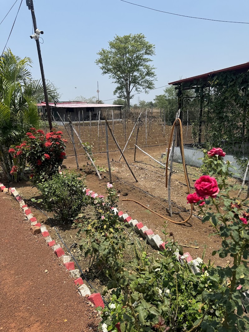 Shree vyas farmhouse - Shree vyas farmhouse, 8C3V+GQ, Chetuwa, Chhattisgarh 490042, India