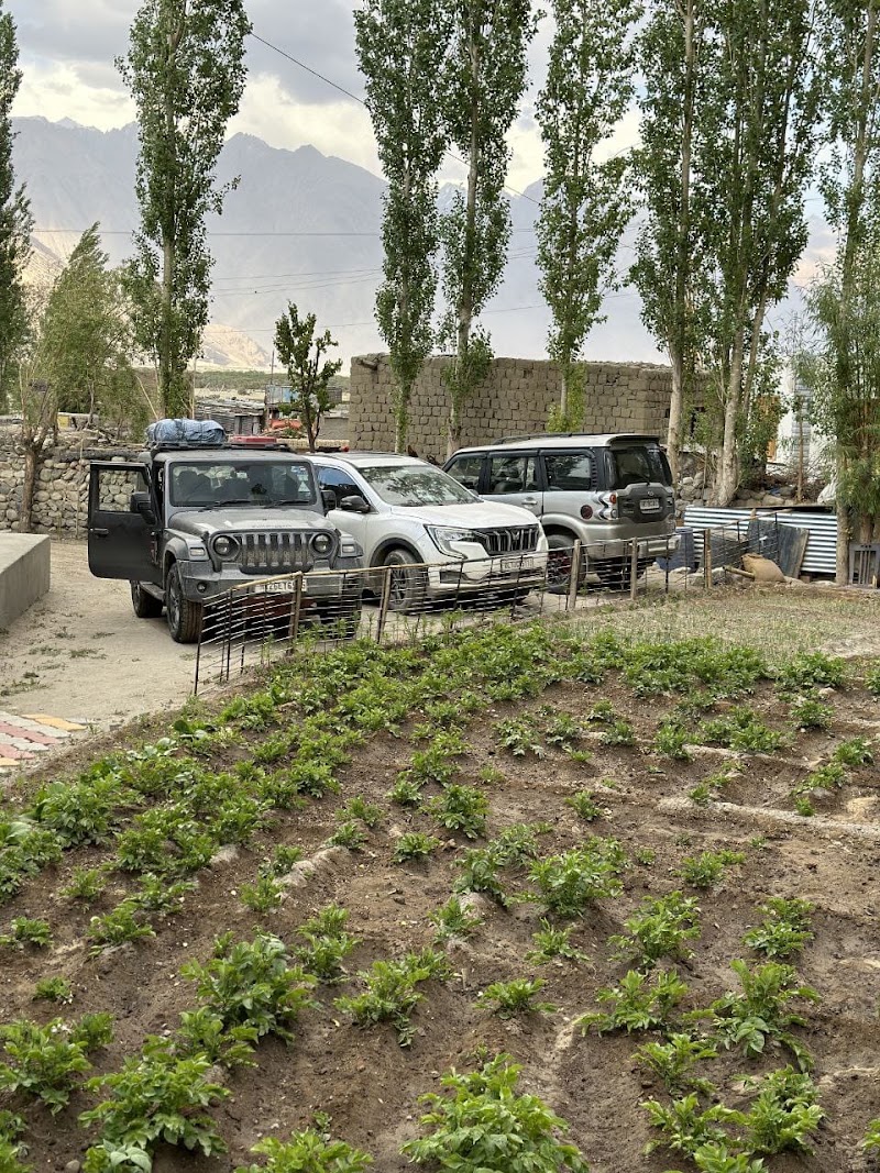 Feroz homestay - Feroz homestay, Near manay kir kir hunder nubra, Hunder, 194401