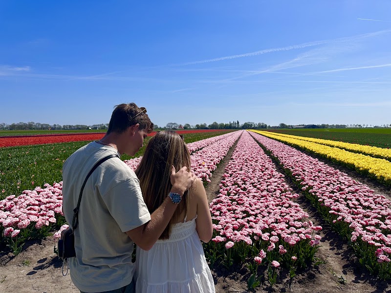 Flagship Tours - Departure Location - Flagship Tours - Departure Location, Termini 27, 1025 AZ Amsterdam, Netherlands