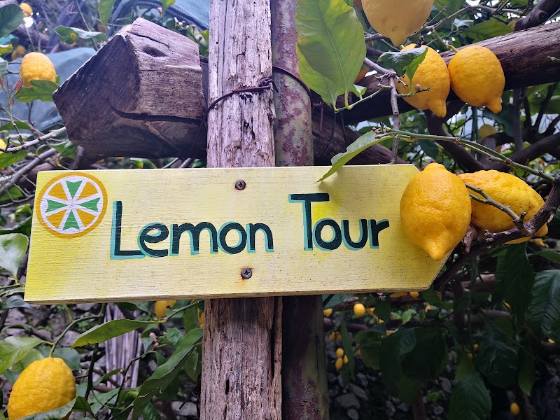 Amalfi Lemon Experience - Amalfi Lemon Experience, Via delle Cartiere, 59, 84011 Amalfi SA, Italy