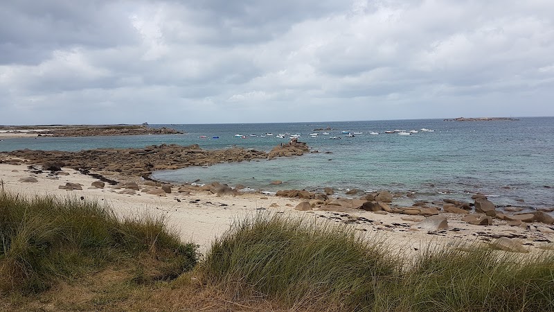 Protected natural site of Bringuiller - Protected natural site of Bringuiller, 19 Chem. de Bringuiller, 22560 Pleumeur-Bodou, France
