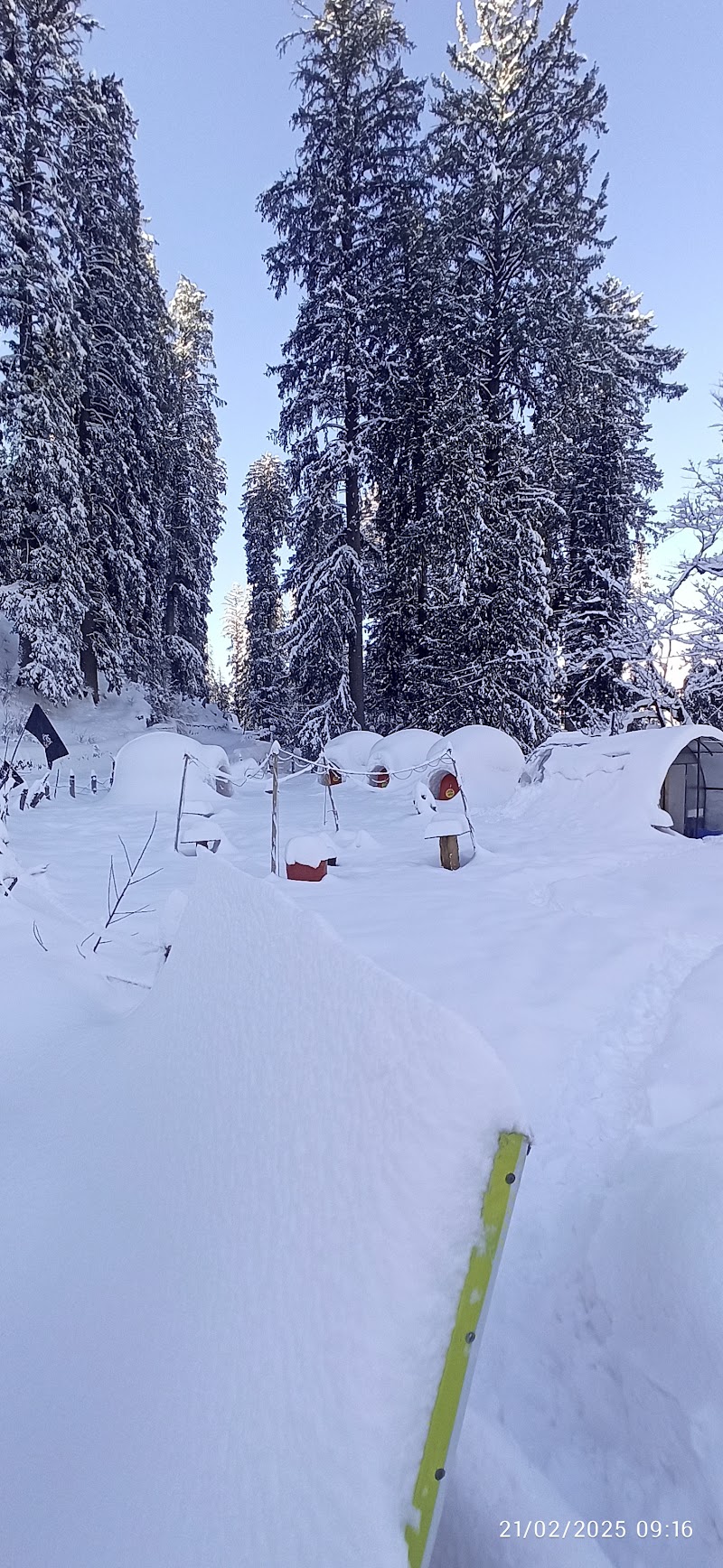 Sethan bouldering hostel - Sethan bouldering hostel ADHPL, after, curve 36, near Manali, Prini, Sethan, Himachal Pradesh 175143, India
