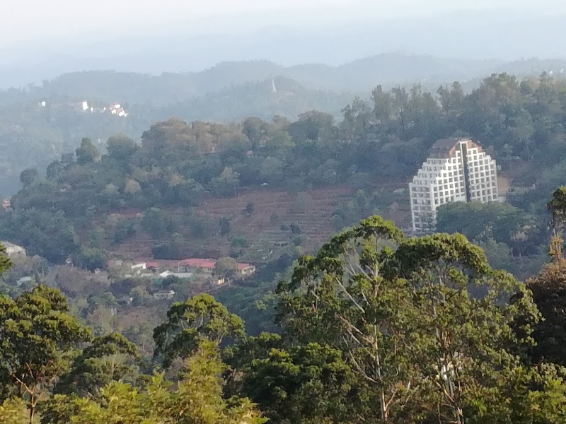 Munnar Treehouse - Munnar Treehouse 22PV+V47, Munnar, Kerala 685565, India