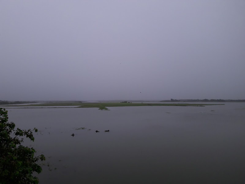Meghal Tidal Regular - Meghal Tidal Regular, 262X+65F, Gujarat 362250, India