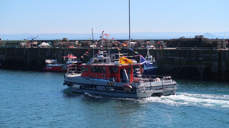 Anstruther Harbour - Anstruther Harbour, 15 Shore St, Anstruther KY10 3EA, UK