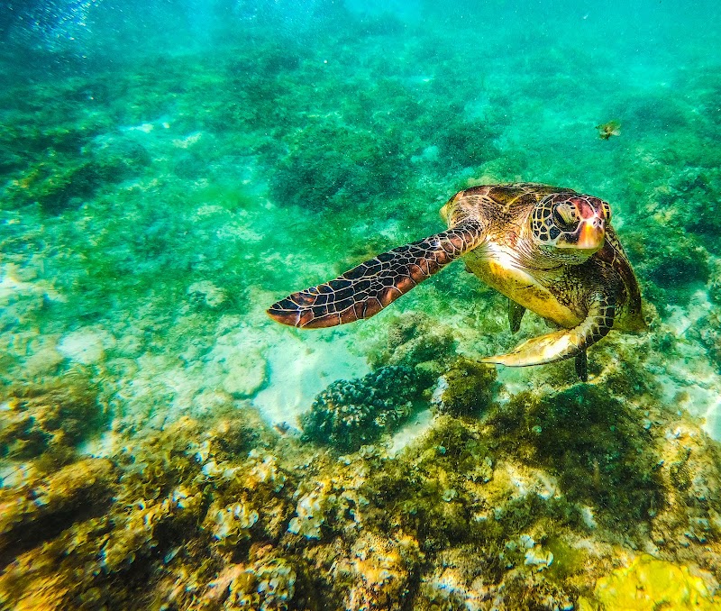 Moalboal - Moalboal Moalboal, Cebu, Philippines