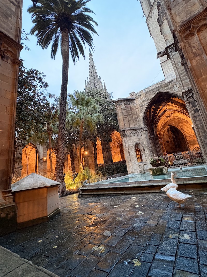 Cathedral of Barcelona - Cathedral of Barcelona Pla de la Seu, s/n, Ciutat Vella, 08002 Barcelona, Spain