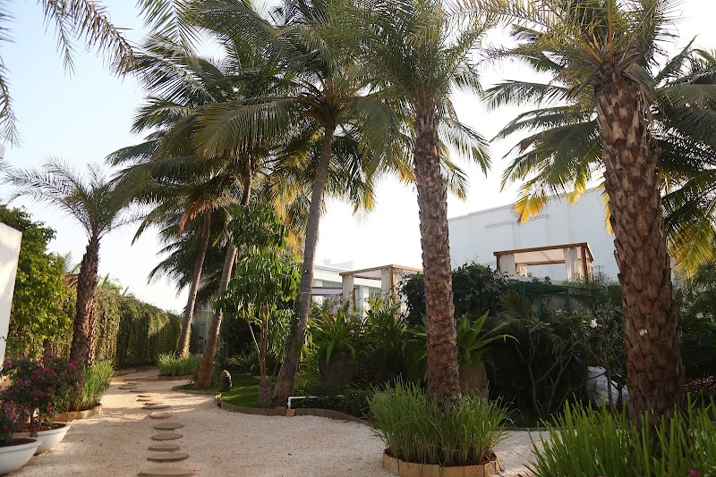The Mansion House - The Mansion House, Saswane, Near Singhania Helipad, Alibag, Sasawane, Maharashtra 402208, India