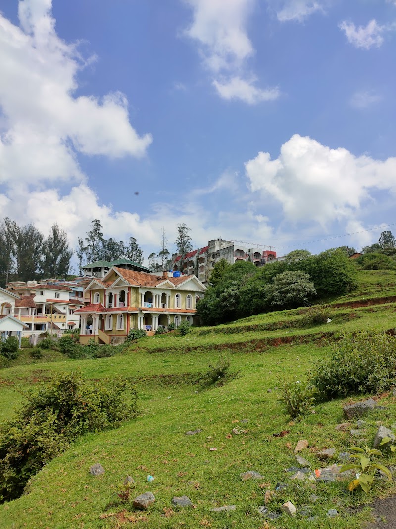 Tea Estate view Stay