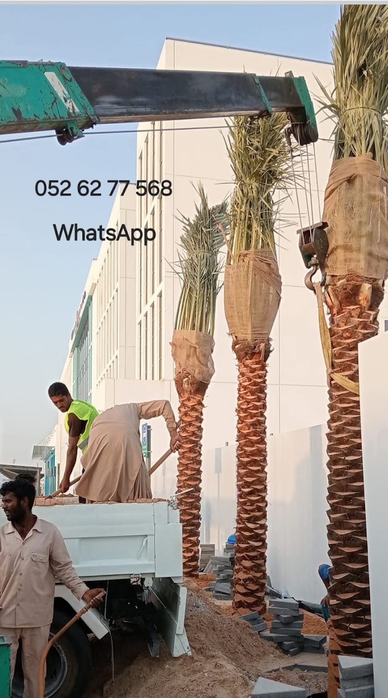 Jumeirah Community Facility-2 - Jumeirah Community Facility-2, 2 Al Graibi St - Jumeirah 3 - Jumeirah - Dubai - United Arab Emirates