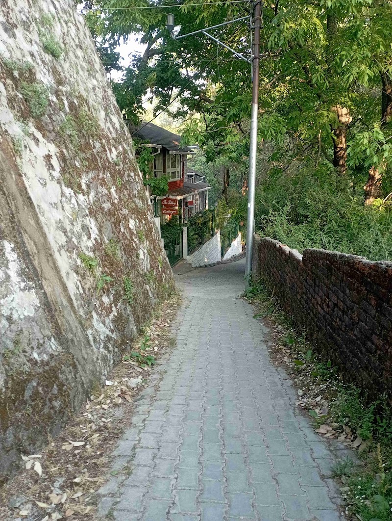Naini Cottage Nainital - Naini Cottage Nainital, 9FP3+R2Q, Ayarpatta, Nainital, Uttarakhand 263001, India