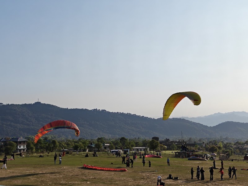 Landing zone field